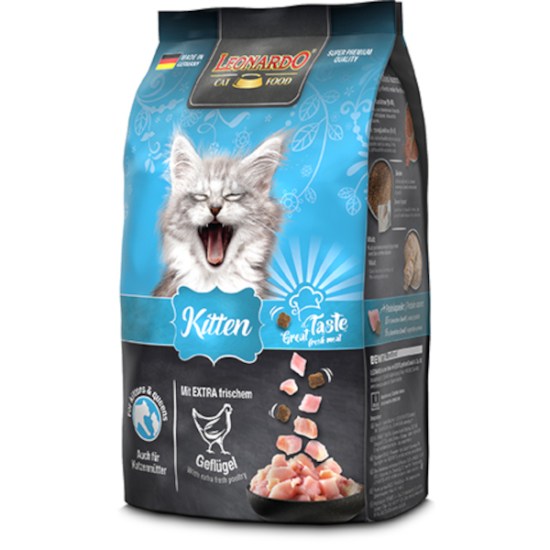 kitten_03.jpg